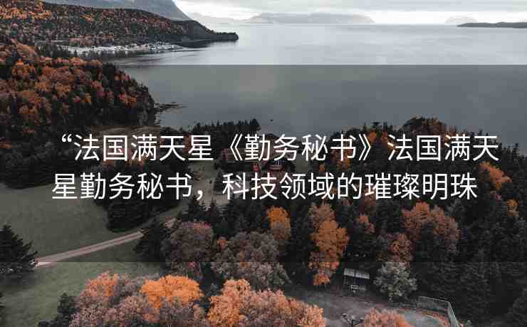 “法國滿天星《勤務秘書》法國滿天星勤務秘書，科技領域的璀璨明珠
