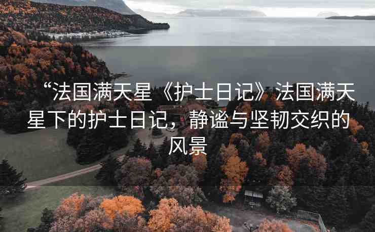 “法國(guó)滿(mǎn)天星《護(hù)士日記》法國(guó)滿(mǎn)天星下的護(hù)士日記，靜謐與堅(jiān)韌交織的風(fēng)景
