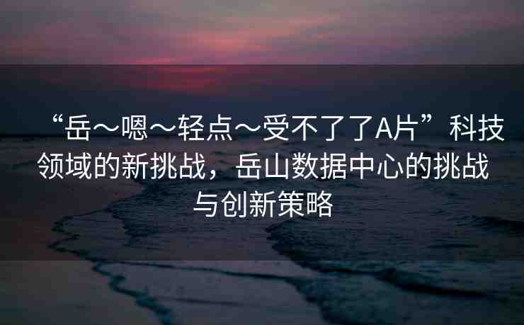 “岳～嗯～輕點～受不了了A片”科技領(lǐng)域的新挑戰(zhàn)，岳山數(shù)據(jù)中心的挑戰(zhàn)與創(chuàng)新策略