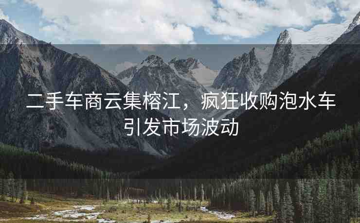 二手車商云集榕江，瘋狂收購泡水車引發(fā)市場波動