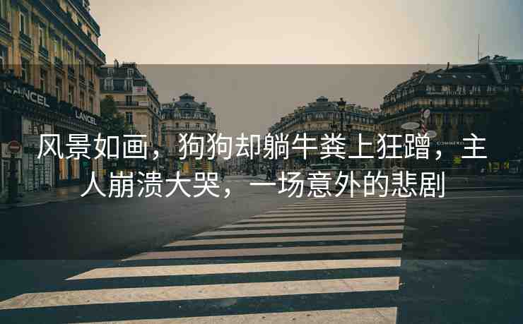 風(fēng)景如畫，狗狗卻躺牛糞上狂蹭，主人崩潰大哭，一場(chǎng)意外的悲劇