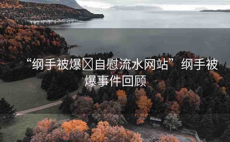 “綱手被爆?自慰流水網(wǎng)站”綱手被爆事件回顧
