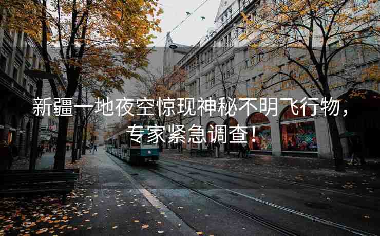新疆一地夜空驚現(xiàn)神秘不明飛行物，專家緊急調(diào)查！