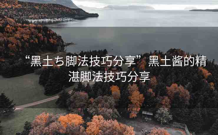 “黑土ち腳法技巧分享”黑土醬的精湛腳法技巧分享