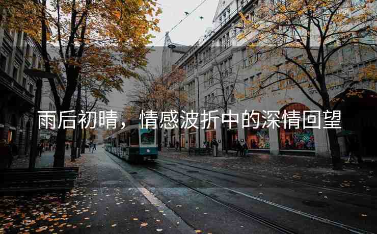 雨后初晴，情感波折中的深情回望
