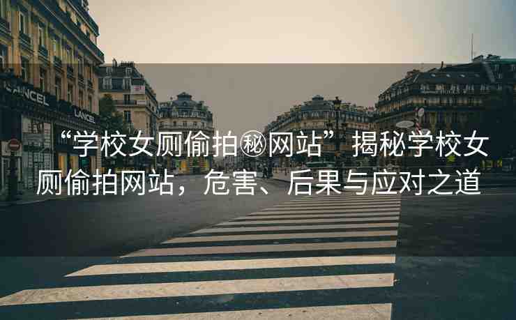 “學(xué)校女廁偷拍秘網(wǎng)站”揭秘學(xué)校女廁偷拍網(wǎng)站，危害、后果與應(yīng)對(duì)之道