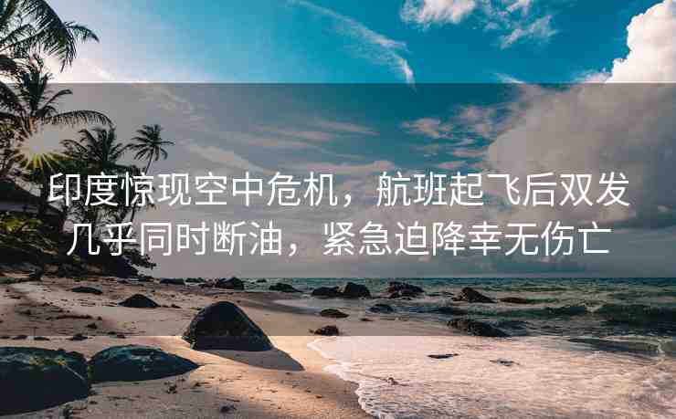 印度驚現(xiàn)空中危機(jī)，航班起飛后雙發(fā)幾乎同時(shí)斷油，緊急迫降幸無傷亡