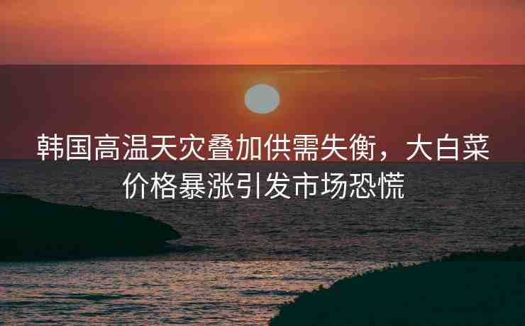韓國(guó)高溫天災(zāi)疊加供需失衡，大白菜價(jià)格暴漲引發(fā)市場(chǎng)恐慌
