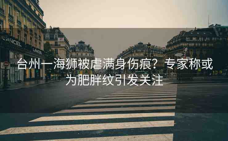 臺(tái)州一海獅被虐滿身傷痕？專家稱或?yàn)榉逝旨y引發(fā)關(guān)注