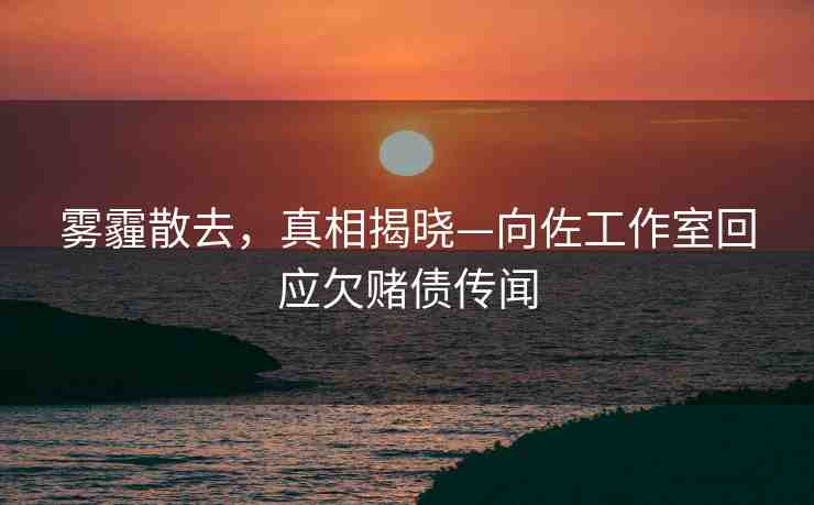 霧霾散去，真相揭曉—向佐工作室回應(yīng)欠賭債傳聞