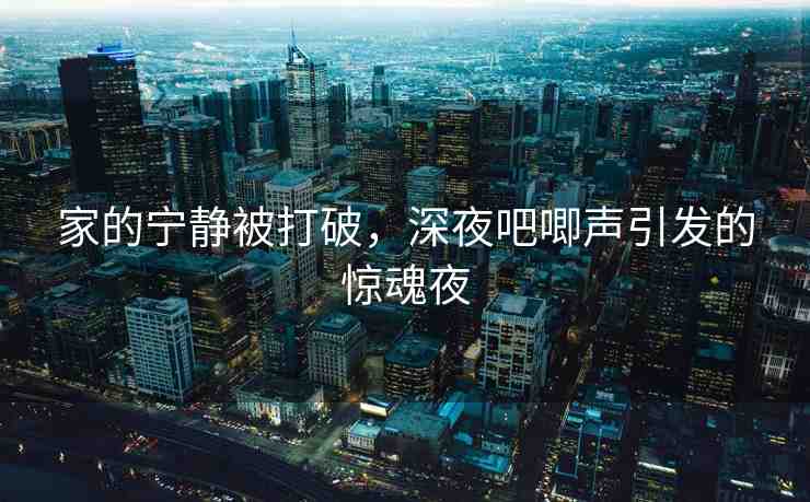 家的寧靜被打破，深夜吧唧聲引發(fā)的驚魂夜