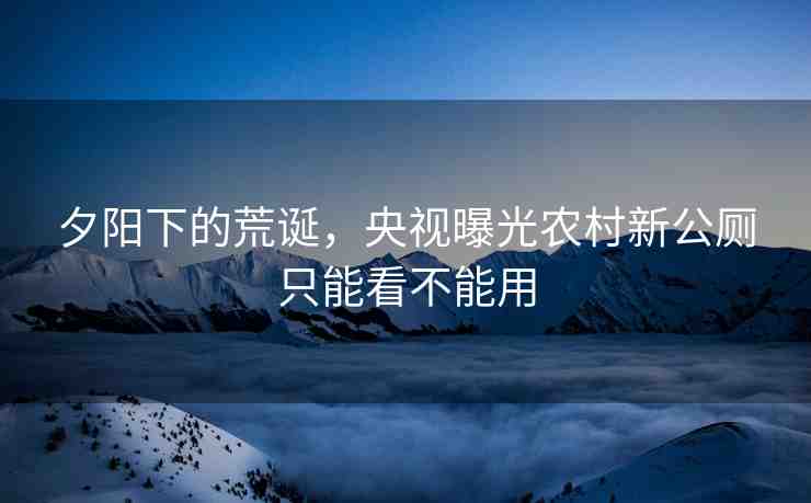 夕陽下的荒誕，央視曝光農(nóng)村新公廁只能看不能用