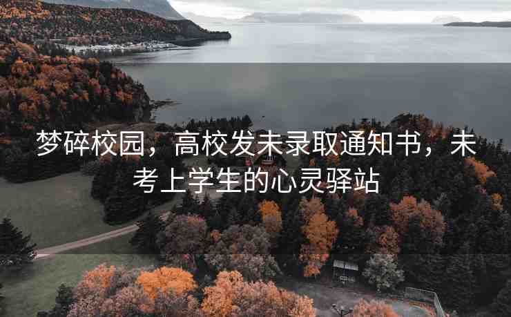 夢碎校園，高校發(fā)未錄取通知書，未考上學(xué)生的心靈驛站