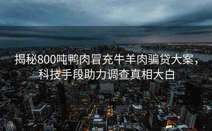 揭秘800噸鴨肉冒充牛羊肉騙貸大案，科技手段助力調(diào)查真相大白